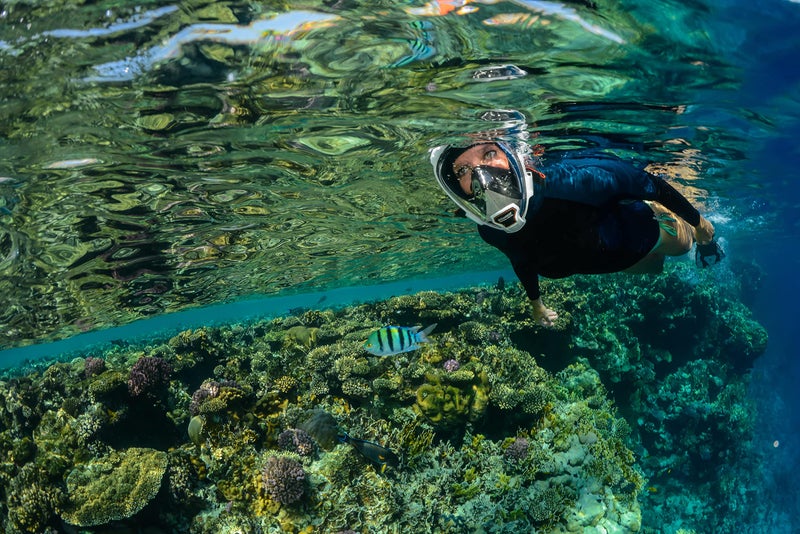 OCEANREEF OCEAN REEF - Aria QR+ Quick Release Full Face Snorkel Mask with Snorkel - 180 Degree Underwater View and Quick Release System (M/L, White). - Image 4